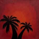 Intense Tropical Sunset by Kylie McGrath