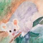 Greater Glider by Jan Thomas