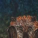 Grey-Headed Flying Fox by Mel C