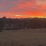 Sunset by Xander B